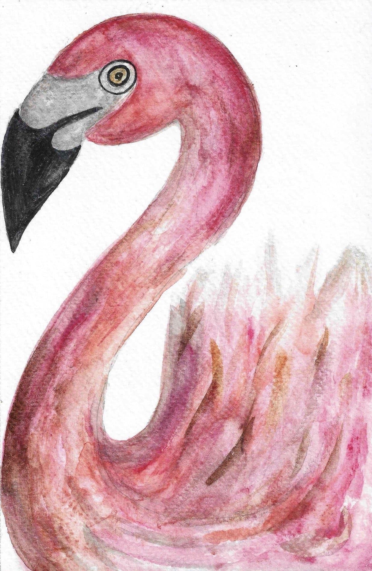 Flamingo — watercolor