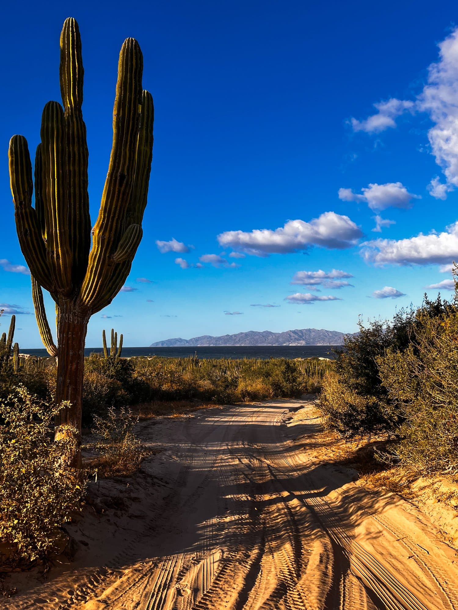 Fotografía de Baja California, México, por Lourdes Pérez