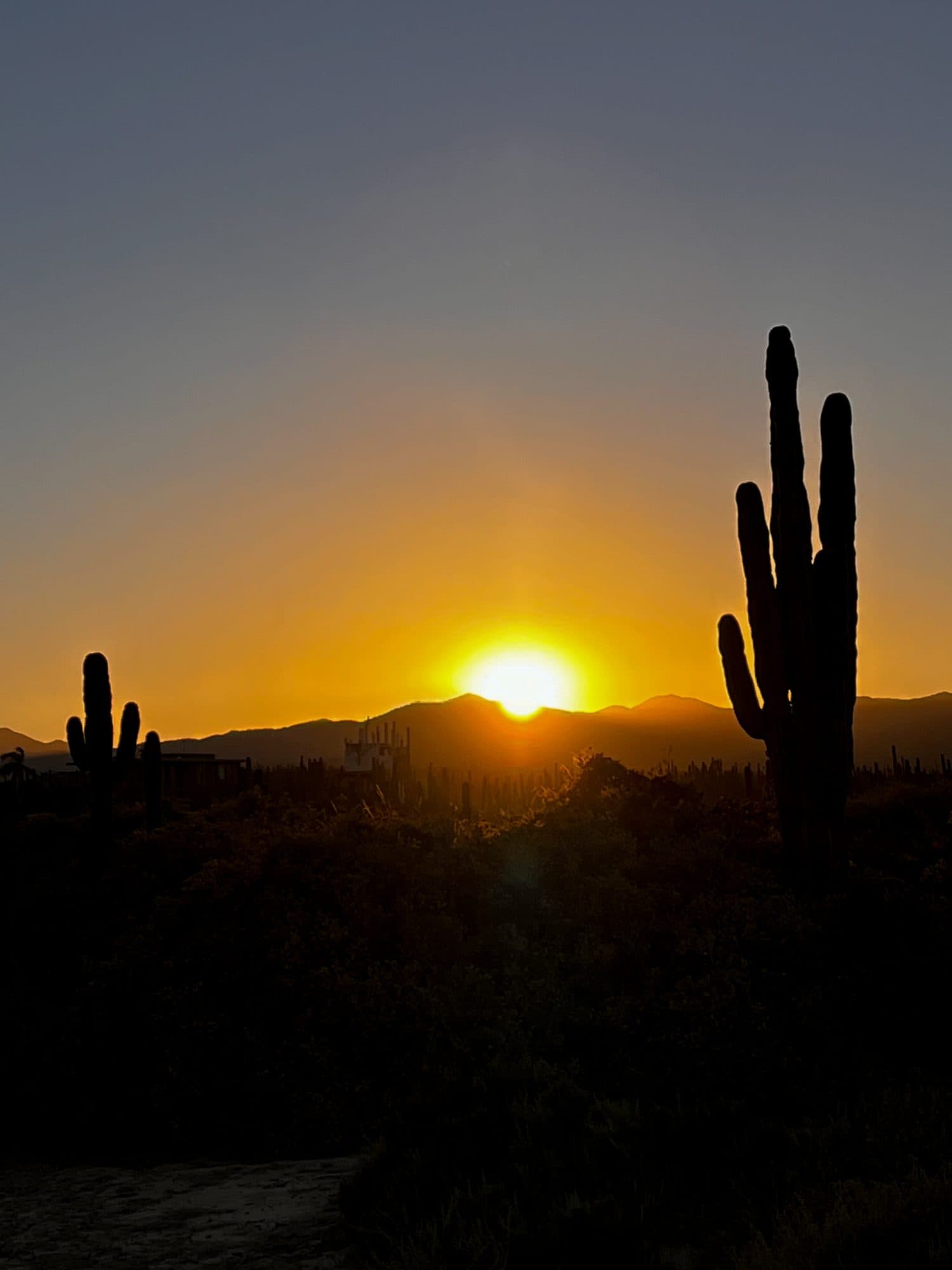 Fotografía de Baja California, México, por Lourdes Pérez