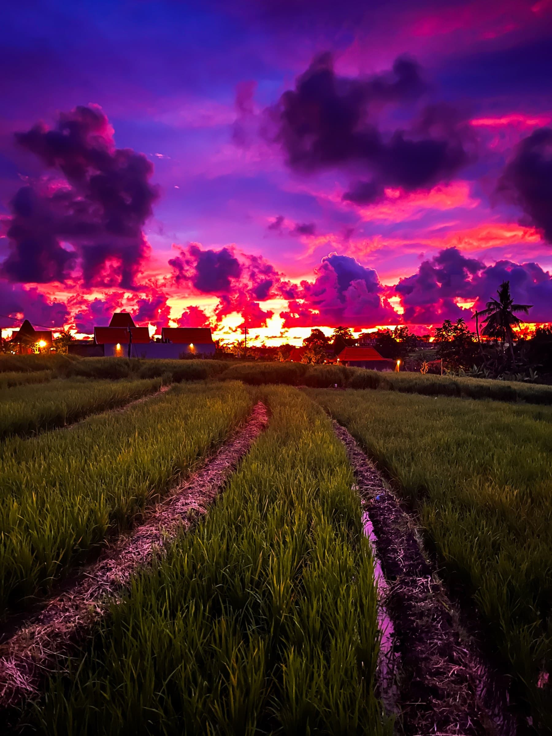 Fotografía de Bali, Indonesia, por Lourdes Pérez
