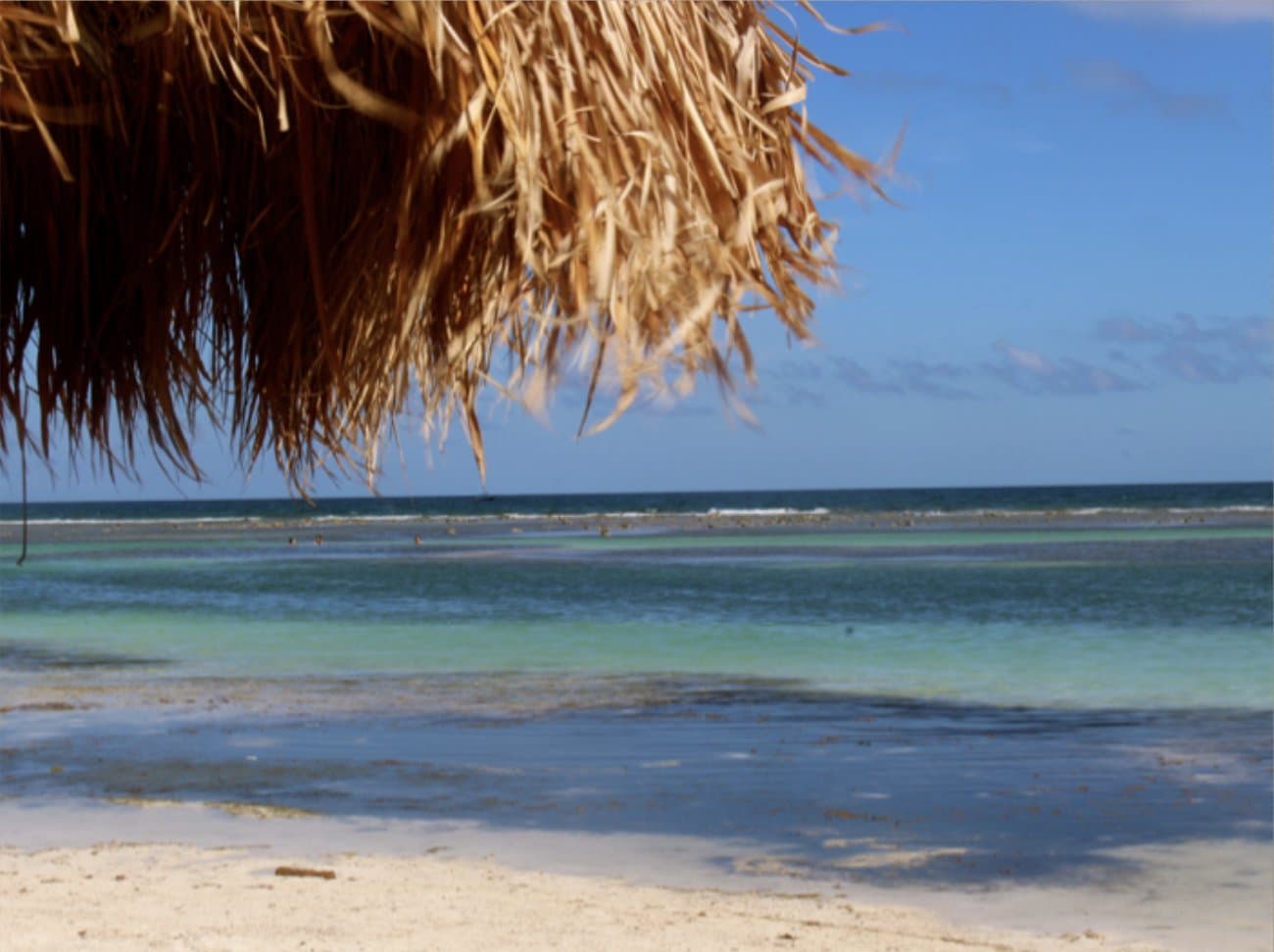Fotografía de referencia: Mahahual, México