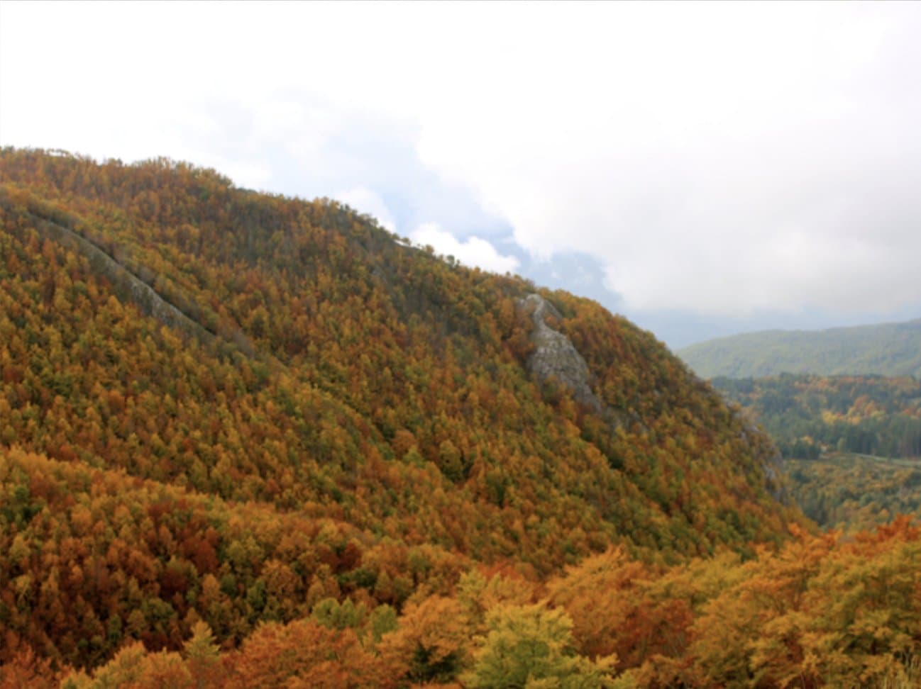 Fotografía de referencia: Garfagnana, Italia