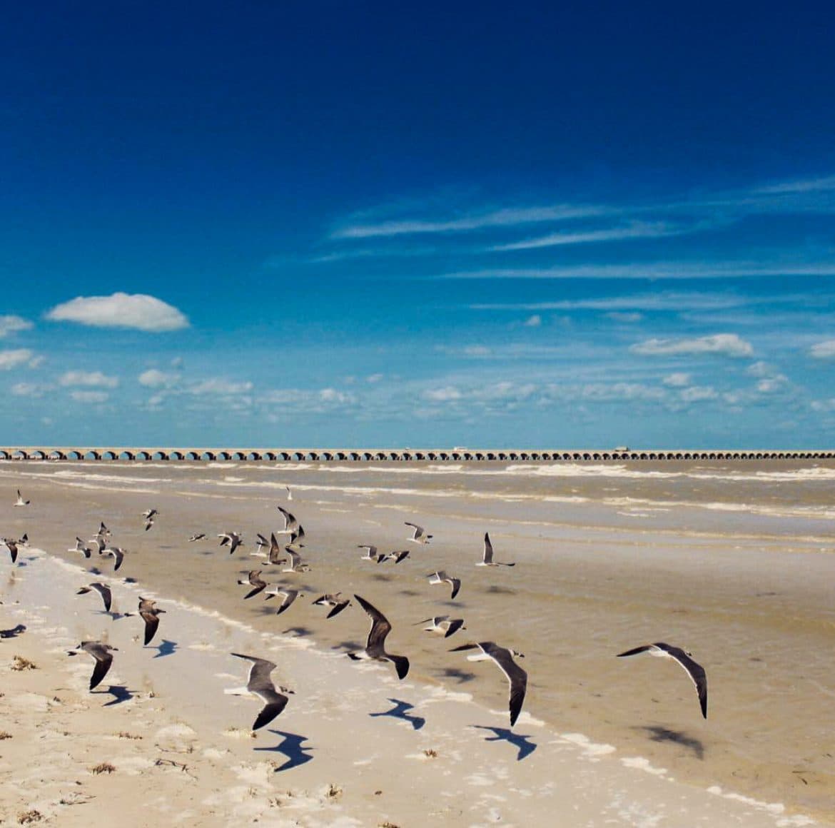 Progreso, México — fotografía de Lou