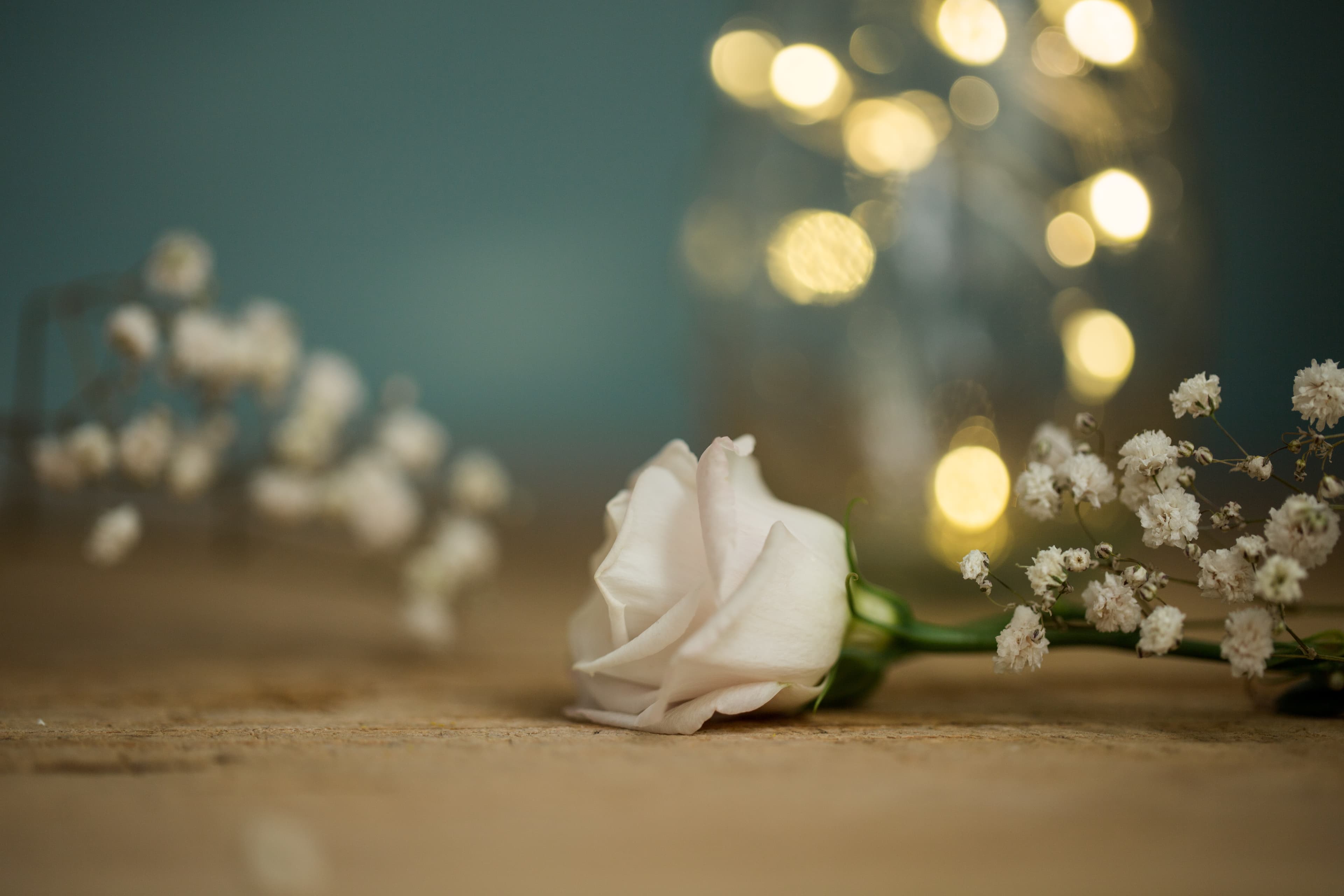 Duelo por suicidio - El dolor de los que se quedan